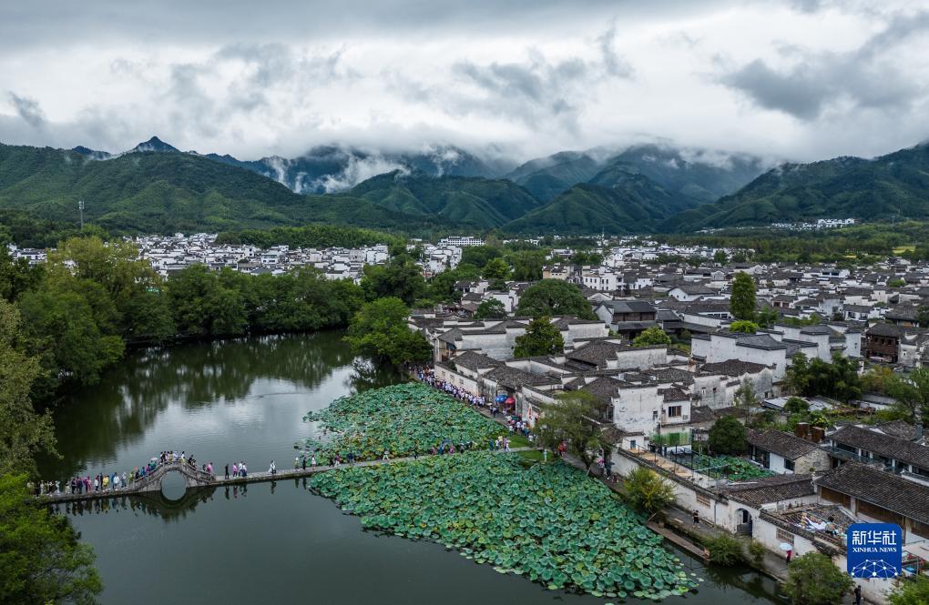 dt老虎机打法